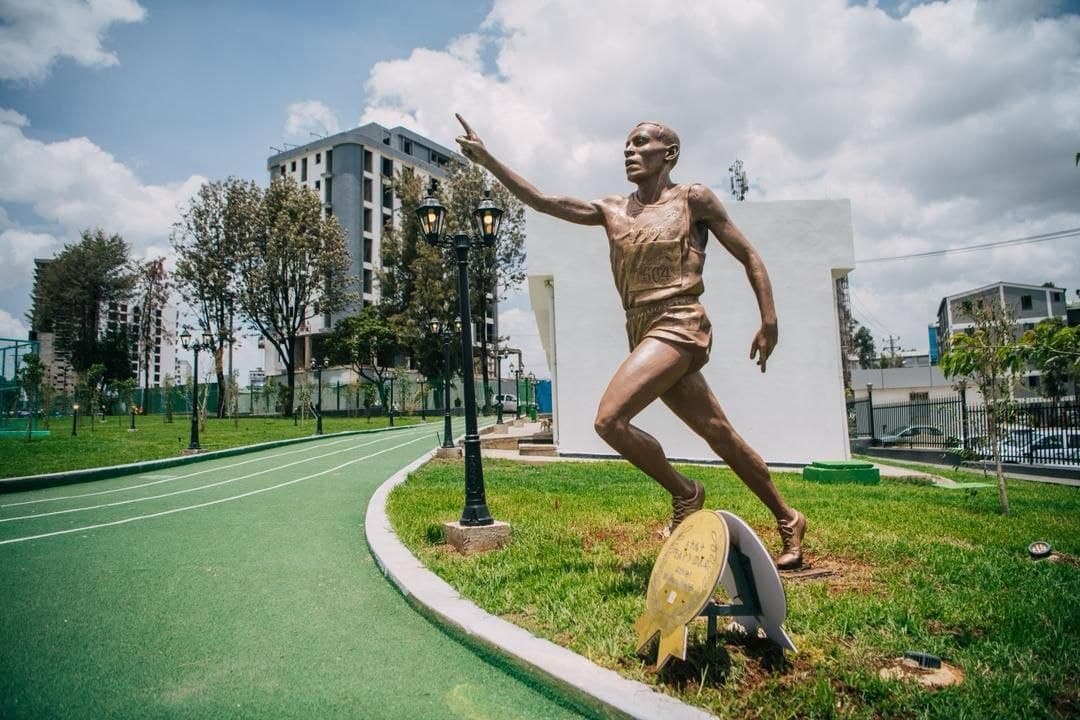 Addis Sport Park | World-Class Sports, Wellness & Community Destination